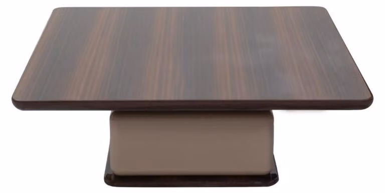 Eleganter Couchtisch Wohnzimmertisch Designer Holztische Möbel