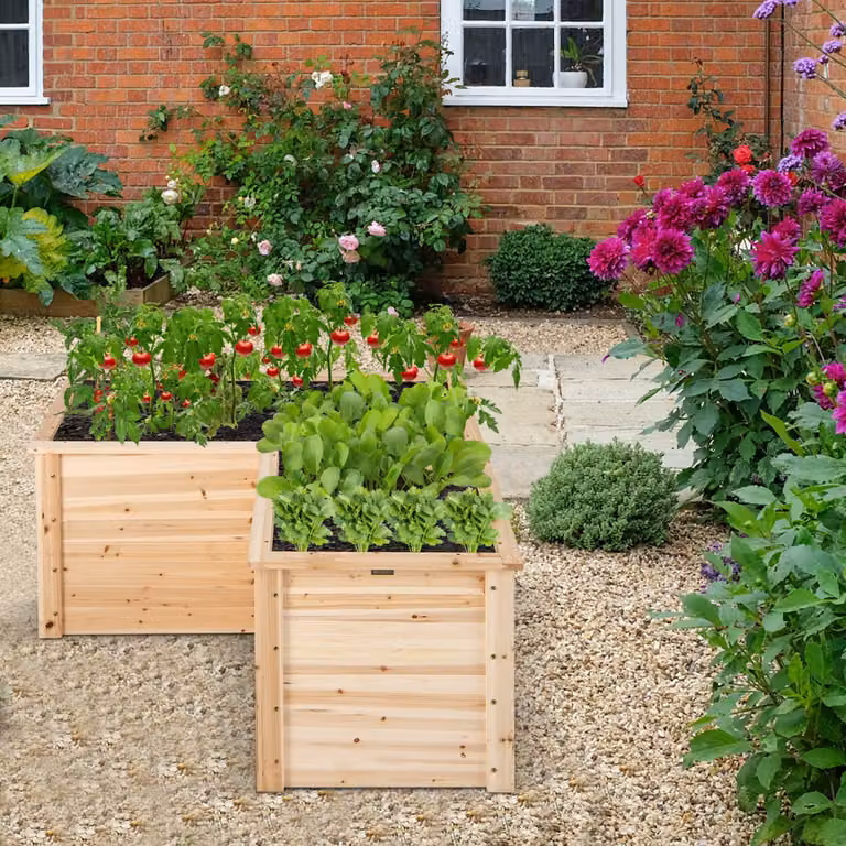 Costway Letto rialzato da giardino in legno a forma di L con base aperta, Colore Naturale, L/P/H: 120 x 120 x 63 cm