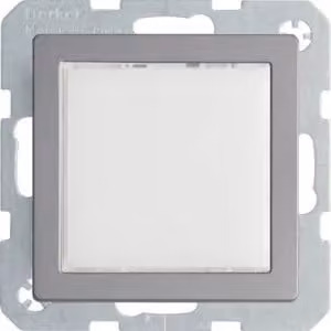 Berker 29536084 LED BIANCO M DEL Z-RA Q1 ALLUMINIO LACCATO