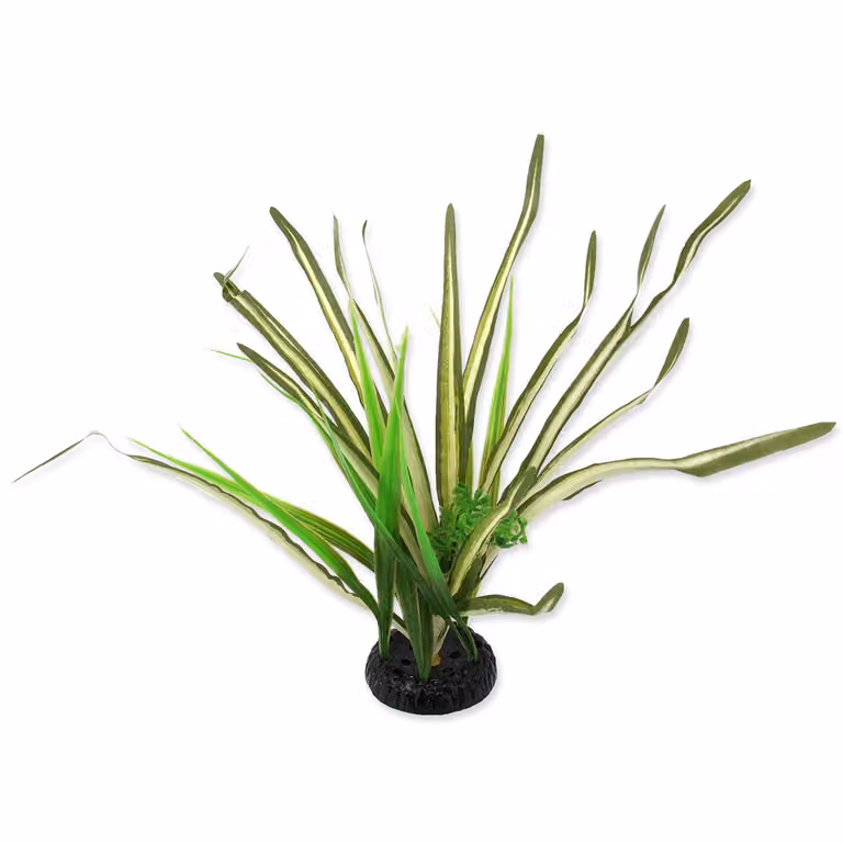 Pianta erbacea Spartina 30 cm 1 pz