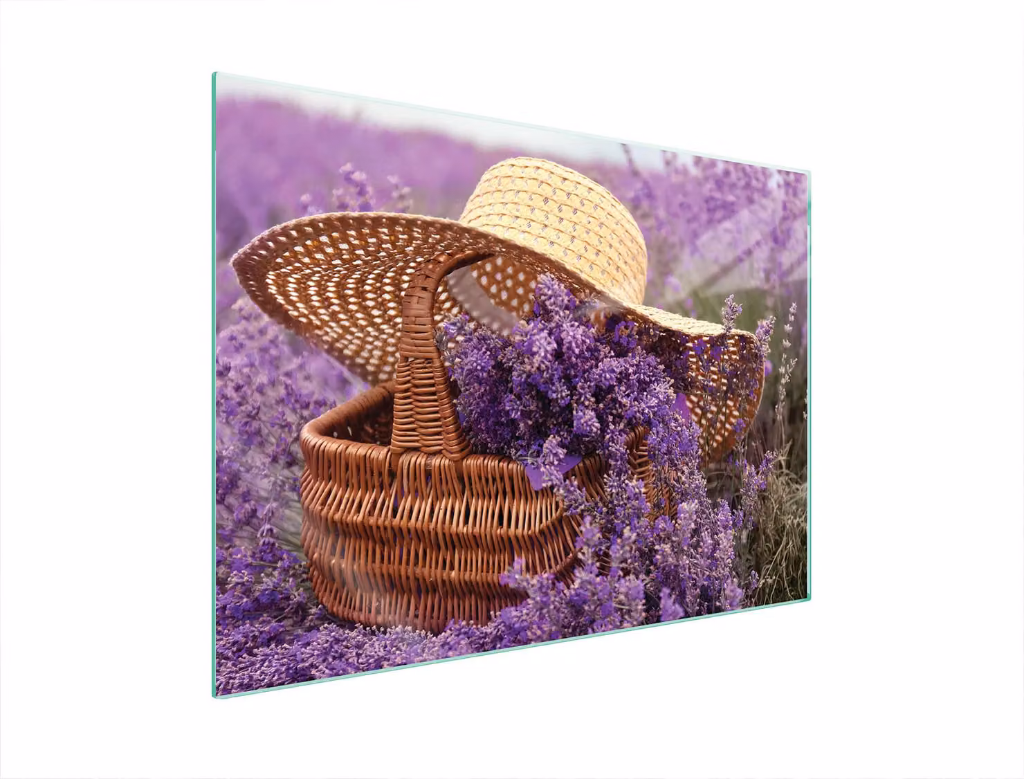 Piastra Di Protezione In Vetrina Per Levi 70X52 Lavendel