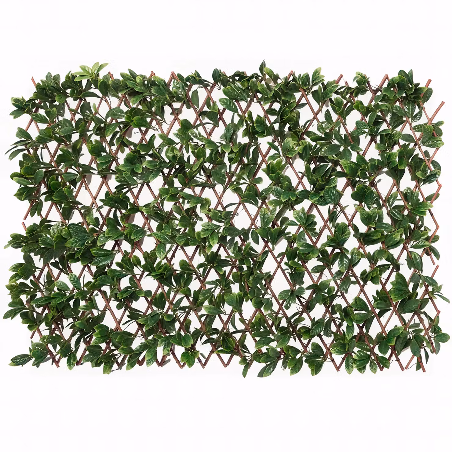 Siepe Artificiale Estensibile Foglie di Mirto Cerato Verde Vestiamo Casa Giardino H: 90 cm, L: 180 cm – 1