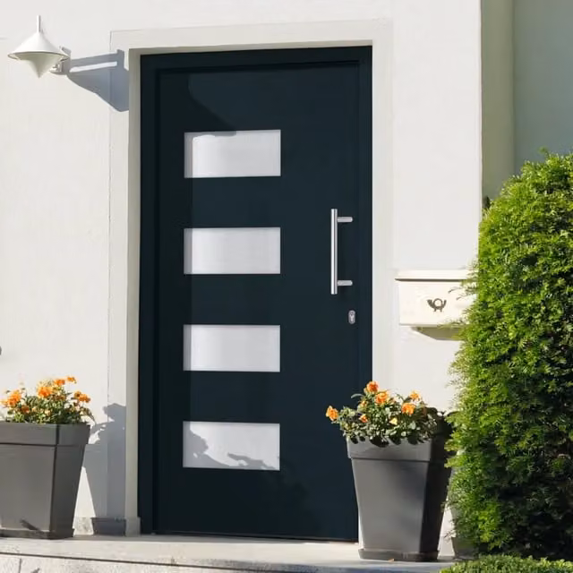 Porta d'Ingresso Moderna vidaXL in Alluminio e PVC Colore Antracite L: 100 cm, H: 210 cm