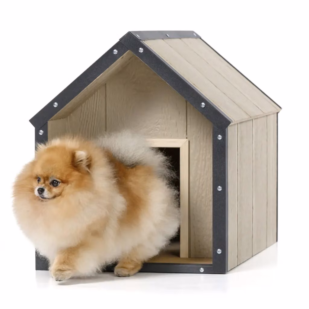 Cuccia per cani in legno Timbela SmartSide Taglia S impermeabile e isolata L/P/H: 74 x 48 x 58 cm – 2