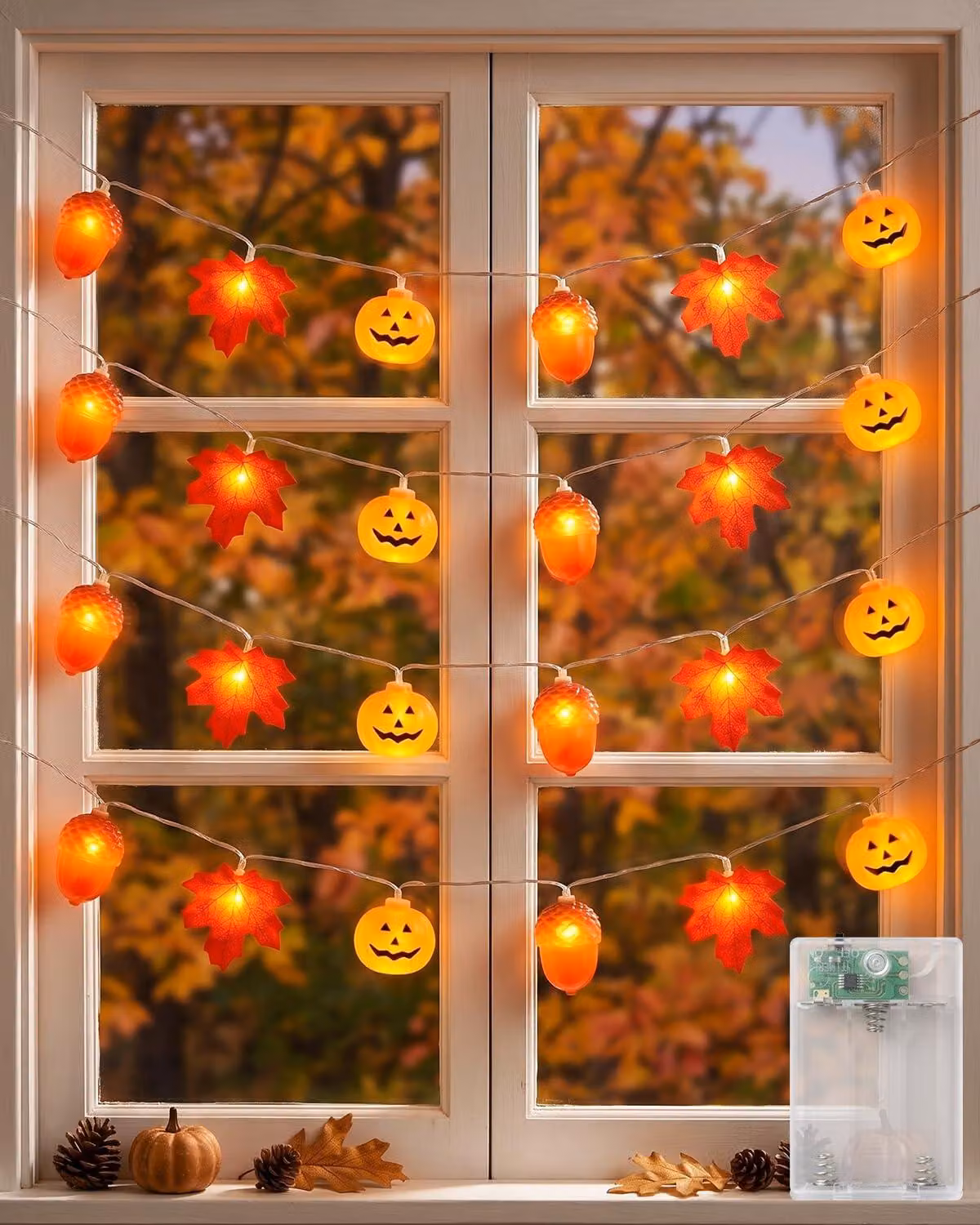 Catena luminosa da 3 metri, con 20 LED, decorazioni a forma di zucche e pigne, ideale per decorazioni autunnali
