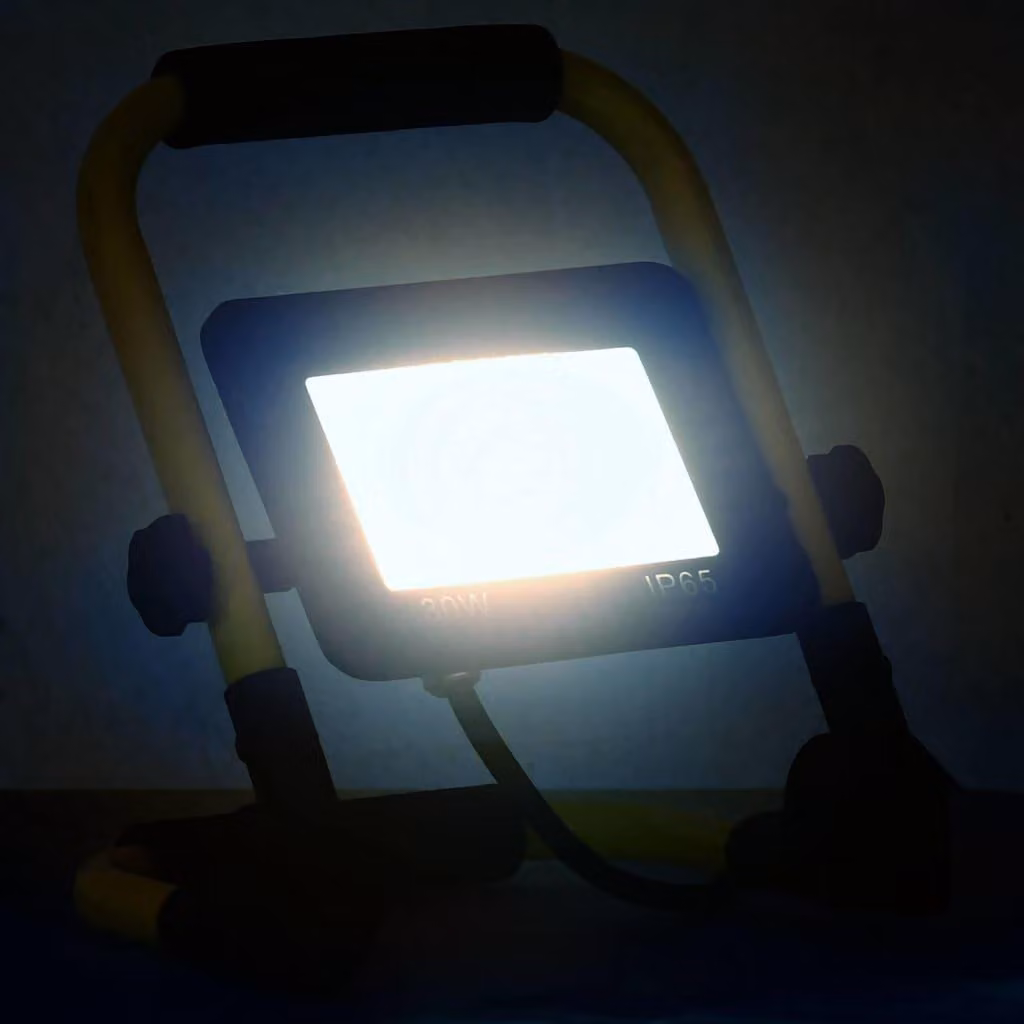 vidaXL Proiettore LED con maniglia 30 W bianco freddo