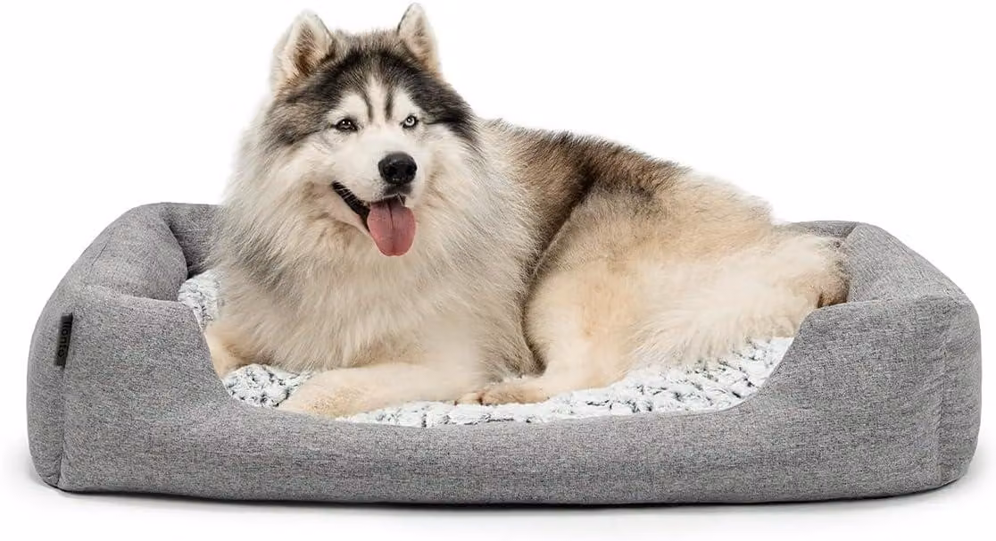 Cuccia per cani, 110x80 cm, grigia, con cuscino reversibile e morbido, adatta ai cani