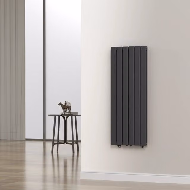 Termosifone a pannello doppio con elementi piatti neu.haus Nero L: 120 cm, H: 45 cm