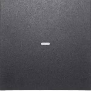 Berker S.1/B.X COVER 1F M.CL.LENS (80960285 ANTHR.MATT)