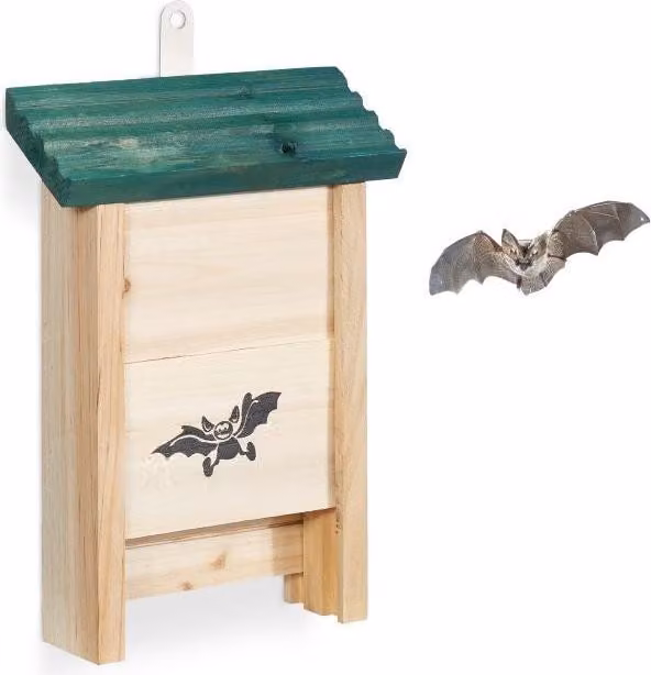 Casa dei pipistrelli con tetto verde