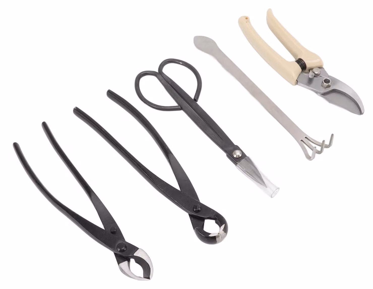 Solidchoice - Set di 5 strumenti premium per bonsai, realizzati Acciaio al carbonio