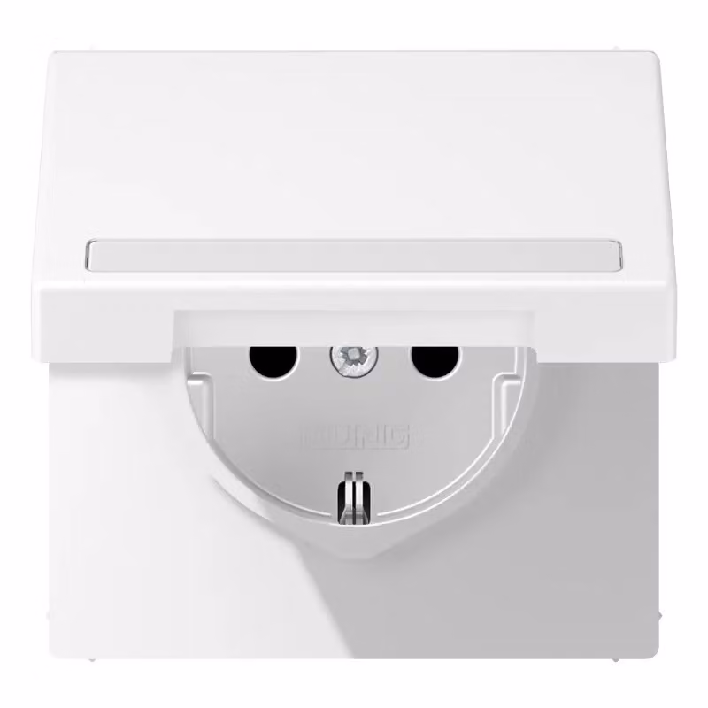 Presa Jung SCHUKO, 16 A 250 V ~, con etichetta, protezione integrata contro il contatto accidentale, coperchio ribaltabile, materiale termoplastico verniciato, serie LS, bianco neve opaco LS1520BFNAKLWWM