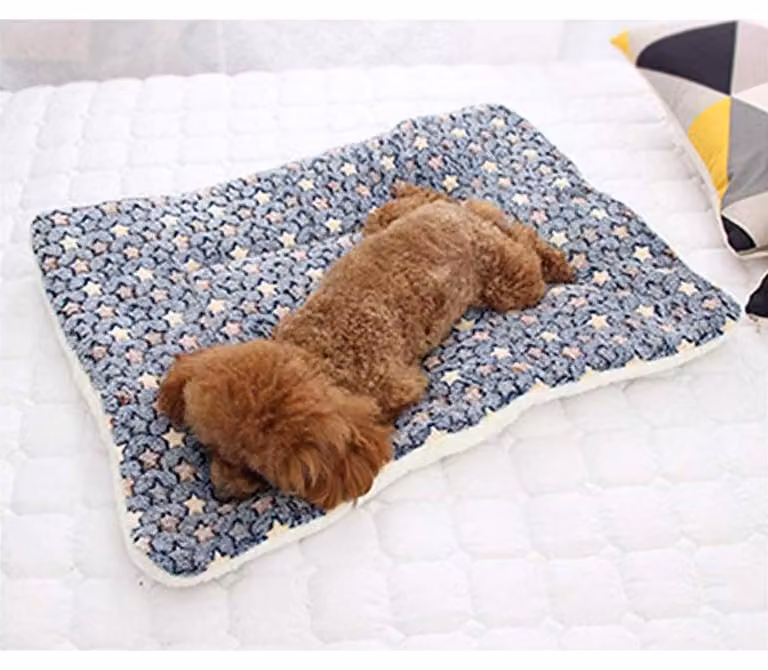 Tappetino per cani, cuscino per cani, coperta per gatti, in peluche, lavabile, colore blu, dimensioni 63x43 cm