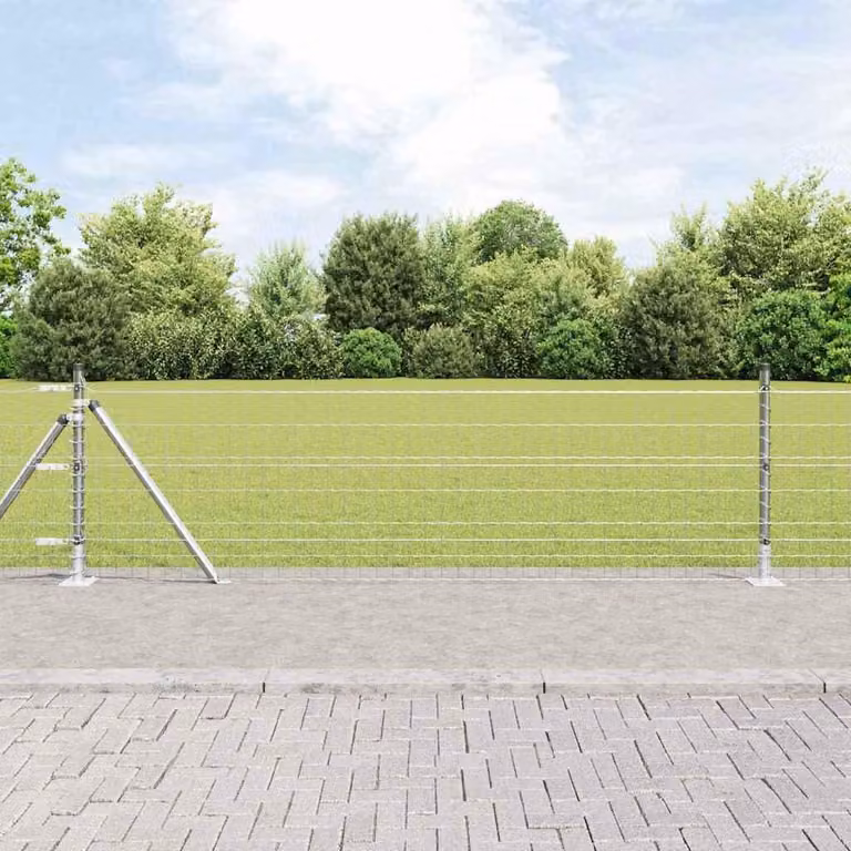 Maison Exclusive - Recinzione con Posto Argento 0,6 x 25 m Acciaio