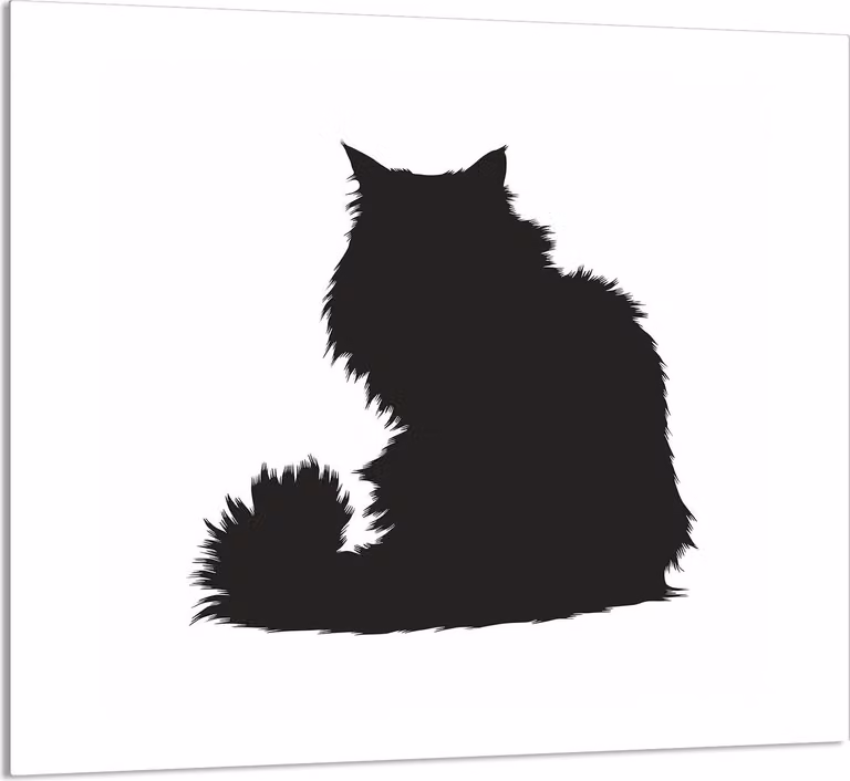 PIATTO IN VETRO PER CUCINA 65x60 Cat