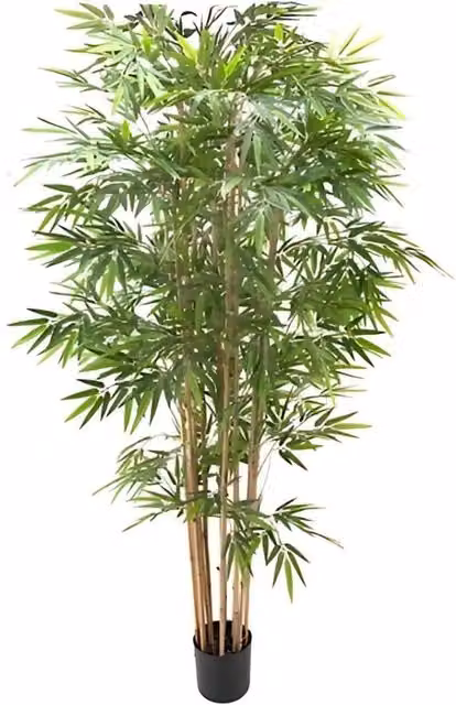 Pianta di bamboo 230 cm x 2480 foglie