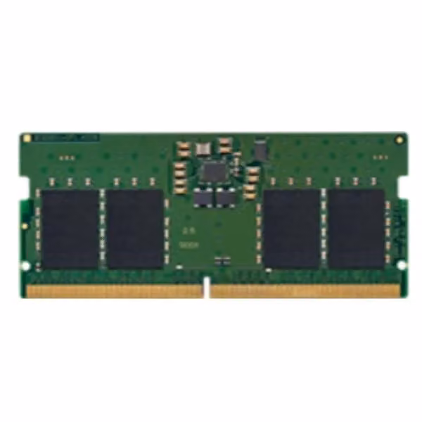 Memoria Kingston KCP556SS6-8 DDR5 da 8 GB 5600 MHz Verde