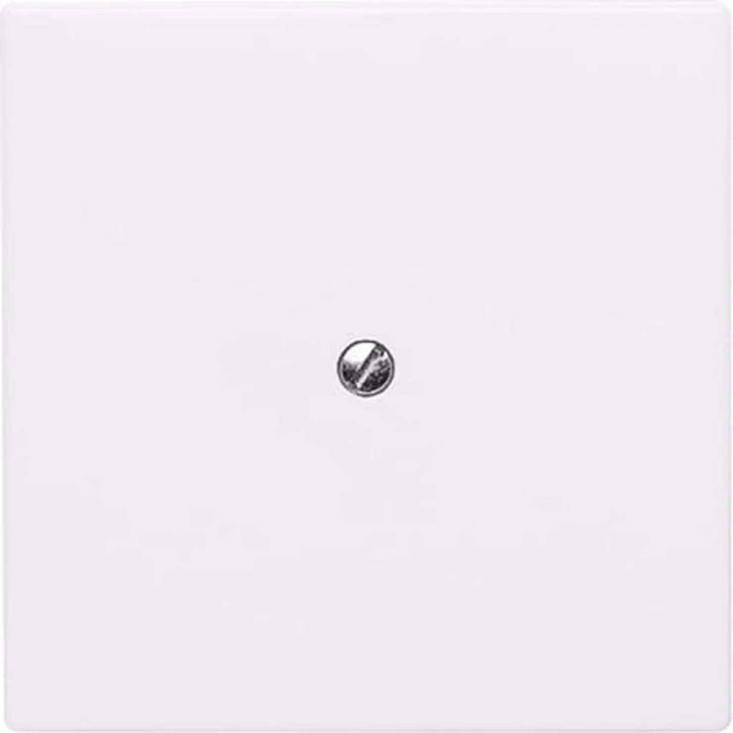 Busch-Jaeger 2138-34 Disco centrale cieco con anello di supporto per tutte le stagioni 44 bianco alpino