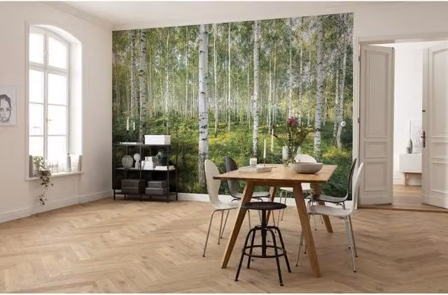 Fotomurale KOMAR Sunny day, Multicolore, L: 368 cm, H: 254 cm