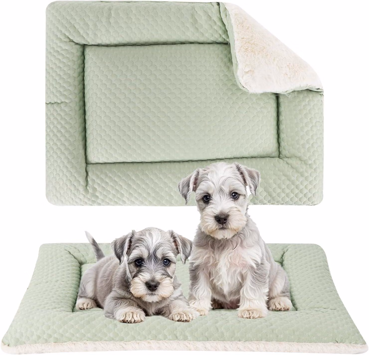Cuccia per cani, 76x50 cm, reversibile, lavabile, verde, per uso interno