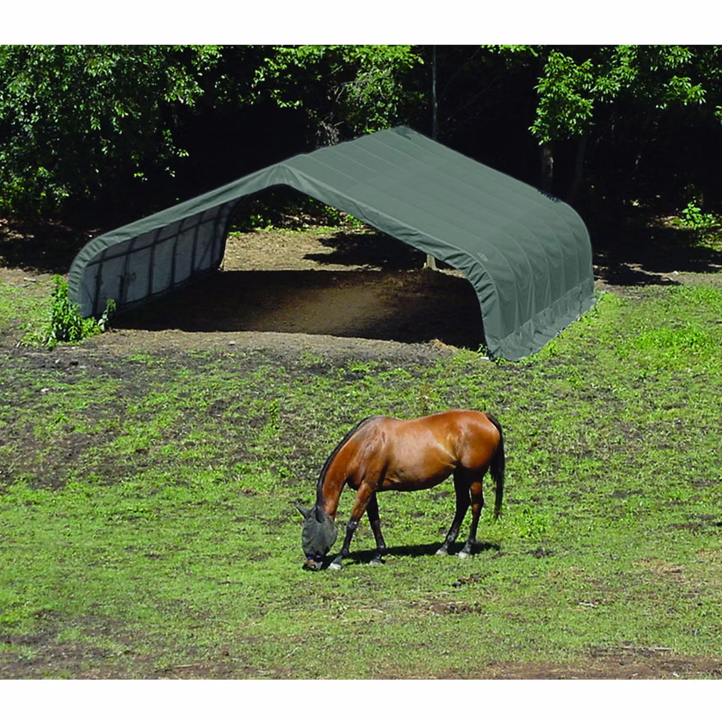 ShelterLogic - Tenda da pascolo in telo, garage per tende, riparo per cavalli - Verde - 610x670x320 cm