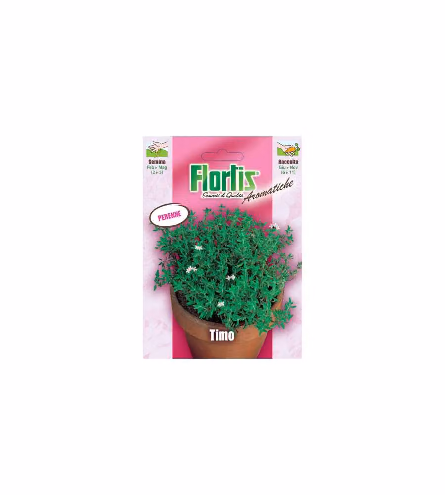 Flortis Semi di Timo in Busta Pronto per Semina  Bianco Aromatico
