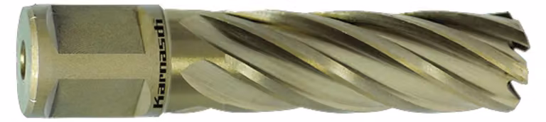 Punta a HSS-XE, attacco Weldon, lunghezza utile 55 mm, Gold-Line55, d=38 mm