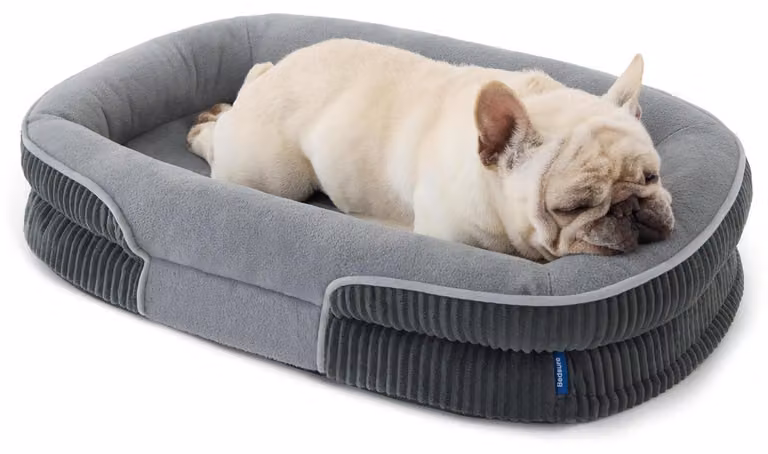 Cuccia ortopedica per cani, taglia media, dimensioni 76x51x16,5 cm, colore grigio