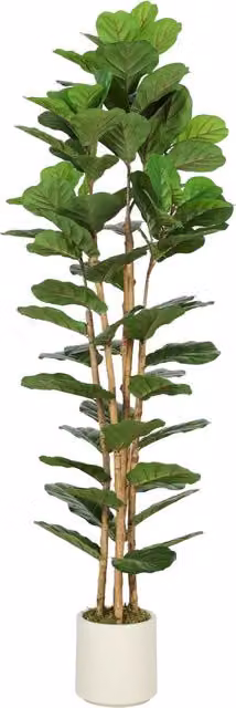 Pianta artificiale Ficus Lyrata XYLO con tronco in legno massello e vaso, verde, H 180 x L 55 x P 55 cm