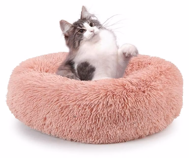 Cuccia per animali domestici, morbida – Cesto per cani lavabile – Cuccia per gatti – Tessuto in peluche – Bordo rialzato – Sensazione di sicurezza e comfort – Letto per animali