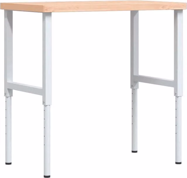 Banco Lavoro Rettangolare in Legno di Faggio CFW6159588 con Altezza Regolabile L: 100 cm, P: 60 cm, H: 73-99,5 cm