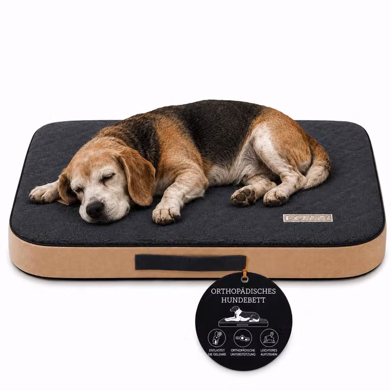 Materasso ortopedico per cani, cuccia, delicato sulle articolazioni, taglia M, 90x60 cm, colore grigio