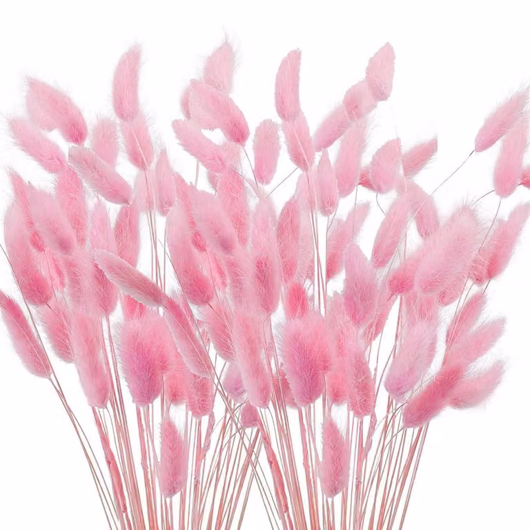 Pampas, fiori secchi, 120 pezzi, 40 cm, rosa, erba coda di coniglio, decorazione
