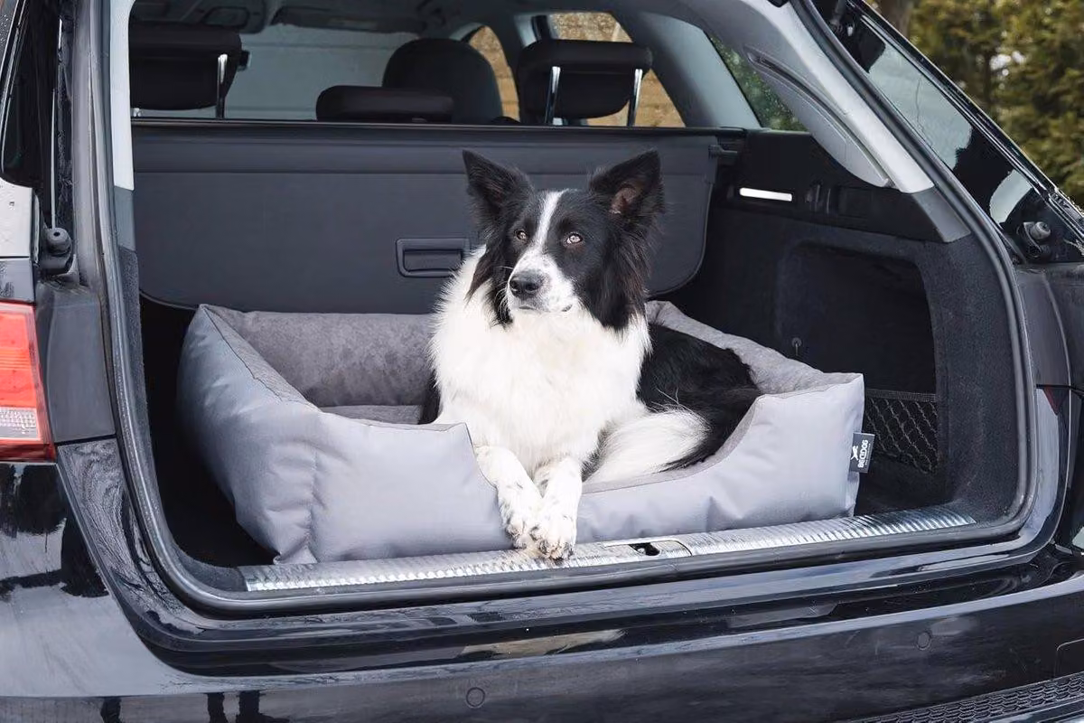 Letto grande per cani, con rivestimento removibile. Comodo e lavabile, adatto a tutte le razze canine