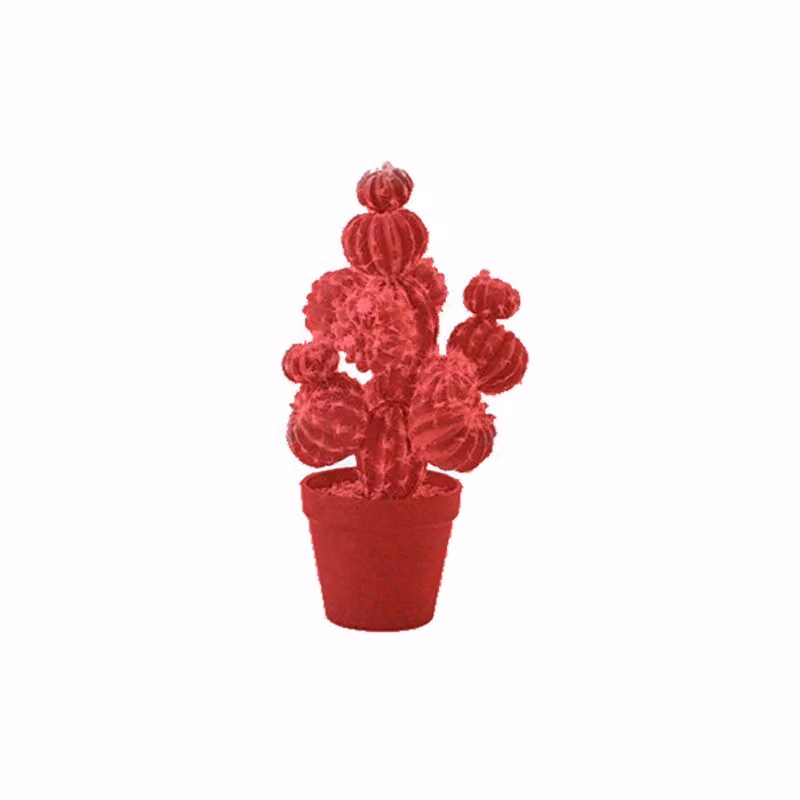 Complemento d'arredo Cactus Balls Adriani e Rossi