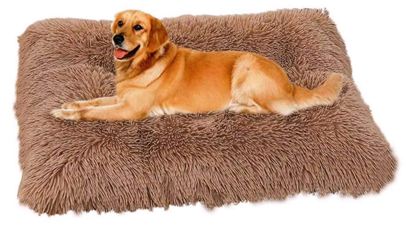 Cuccia per cani morbida e soffice, realizzata in peluche, con imbottitura confortevole. Colore: marrone (simile al caffè). Dimensioni: 65x48 cm