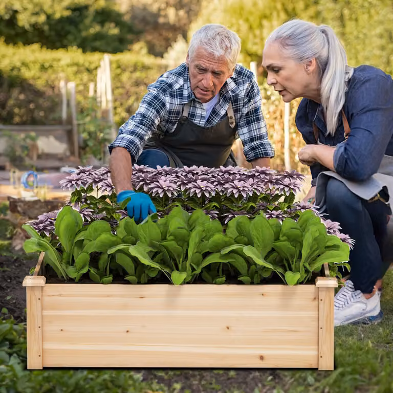 Letto da giardino rialzato in legno Costway per orto e piante aromatiche, fioriera quadrata con base aperta colore marrone