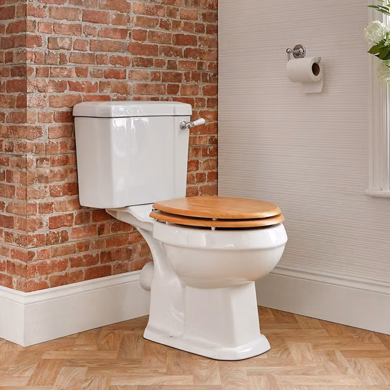 Sanitario WC Monoblocco con Copriwater in MDF - Richmond