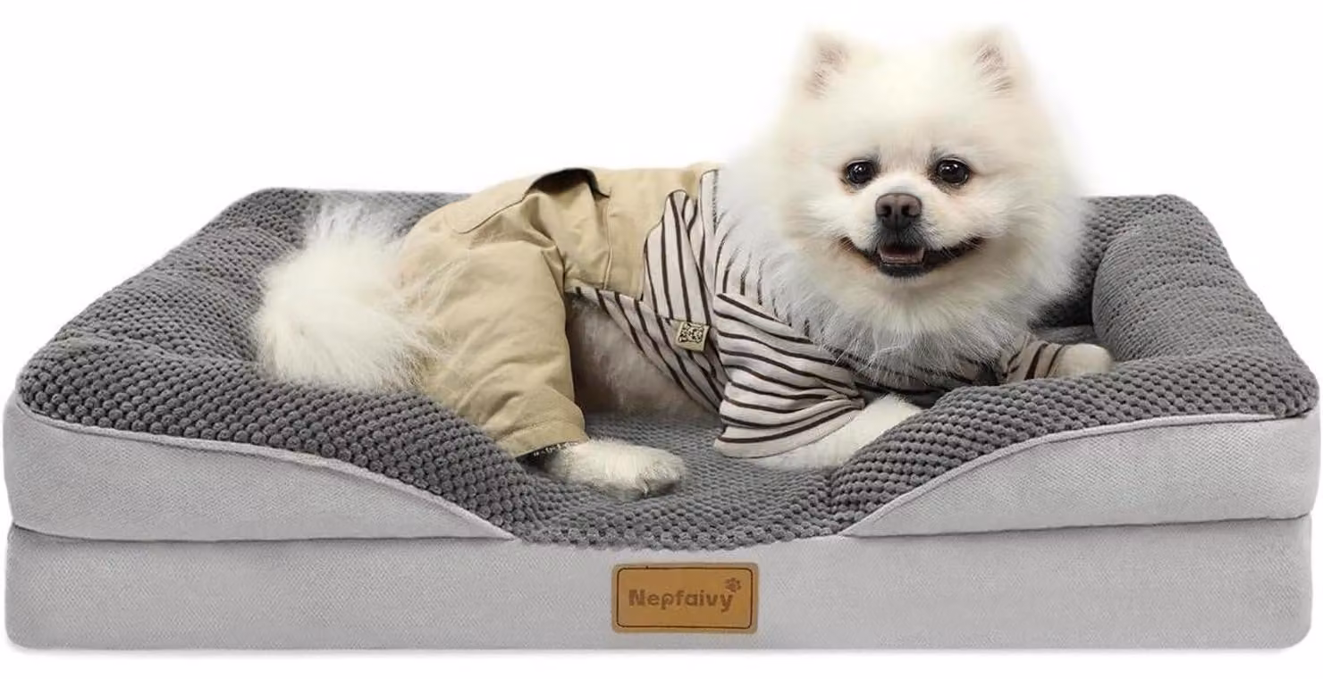 Cuccia ortopedica per cani, lavabile, con imbottitura in schiuma a forma di uovo, bordo rialzato, base antiscivolo, colore grigio chiaro/grigio scuro, dimensioni 76x55 cm, taglia media