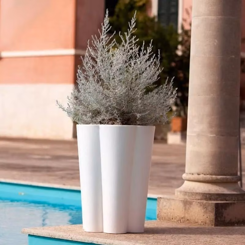 Vaso Lulet Kloris