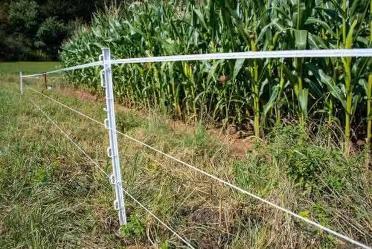 Palietti per recinzione da pascolo in plastica, 10 pezzi, colore bianco, altezza 136 cm