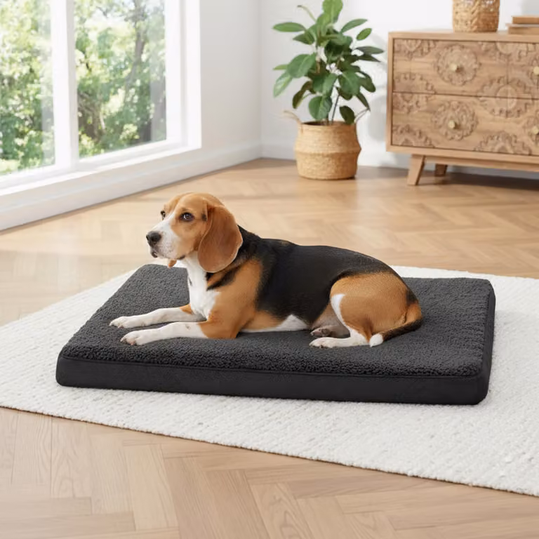 materassino per cani belviona, materassino morbido e stabile con rivestimento lavabile, 91x69x8 cm, nero