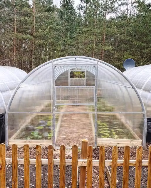 Serra da giardino Palram OPTIMA con rivestimento in policarbonato trasparente e struttura in acciaio zincato, L: 8 m, P: 2,5 m, H: 2,5 m