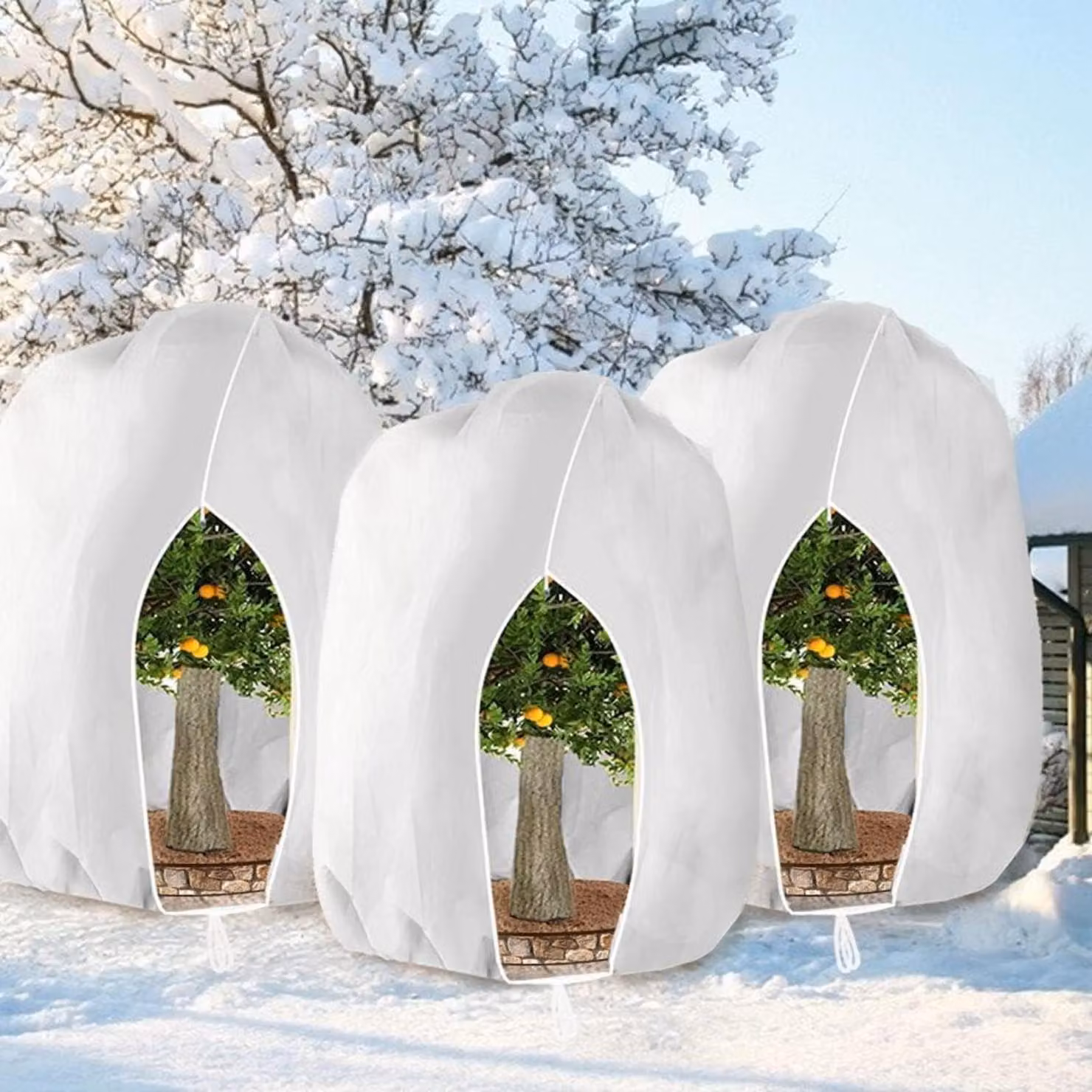 Copertura protettiva invernale per piante, con cerniera, 250 x 360 cm, colore bianco, confezione da 3 pezzi