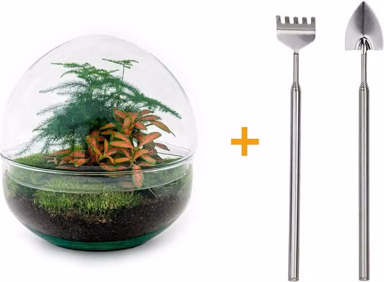 Terrario fai da te - Cupola rossa - ↕ 20 cm