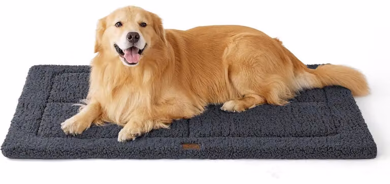 Tappetino per cani lavabile, taglia XXL, 121x76 cm, colore grigio scuro, in sherpa con imbottitura in schiuma