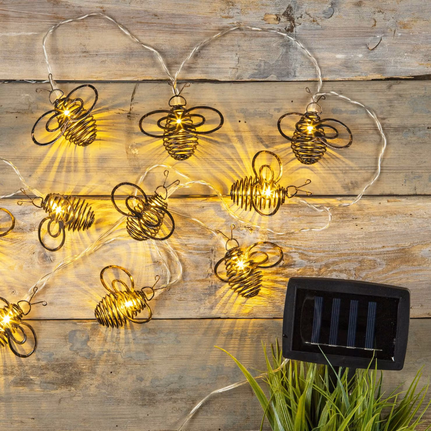 HI 70429 Luci solari a LED per api con 10 LED bianco caldo