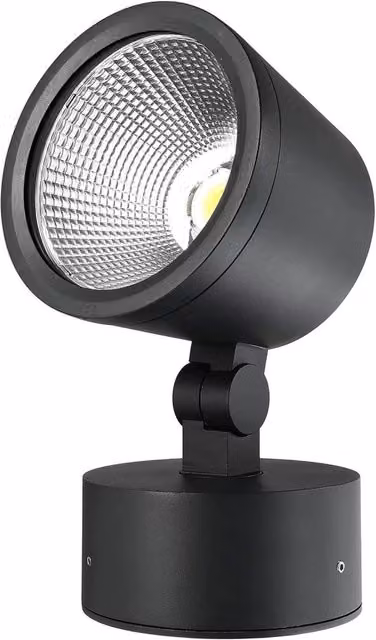 COLT faro LED SPOT 30W IP65 faretto dimmerabile luce orientabile facciate monumenti insegne 230V
