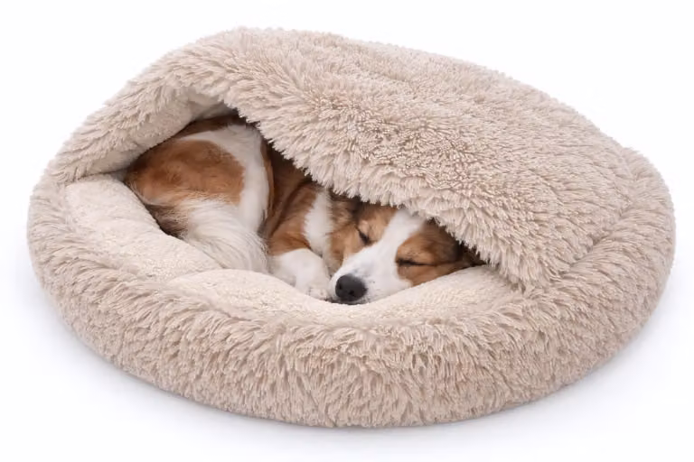 ODOL-PLUSZ Cuccia rotonda per cani e gatti 100 cm, beige, bouclé shaggy, design a sacco a pelo, cuccia calda, fondo antiscivolo, lavabile in lavatrice