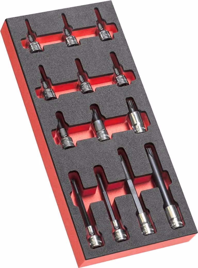 Facom Schaumstoffmod. 13x Torx Stecks. 1/2Z